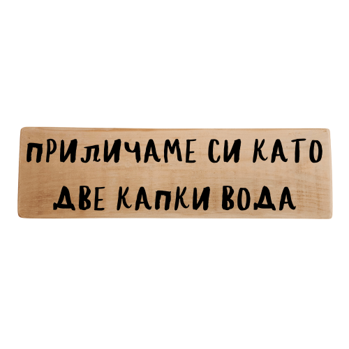 Приличаме си като две капки вода