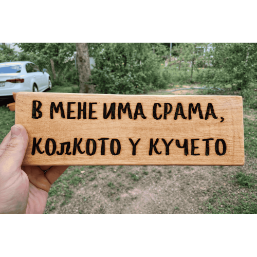 В мене има срама, колкото у кучето