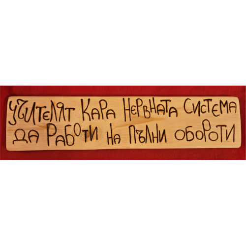 Учителят кара нервната система да работи на пълни обороти