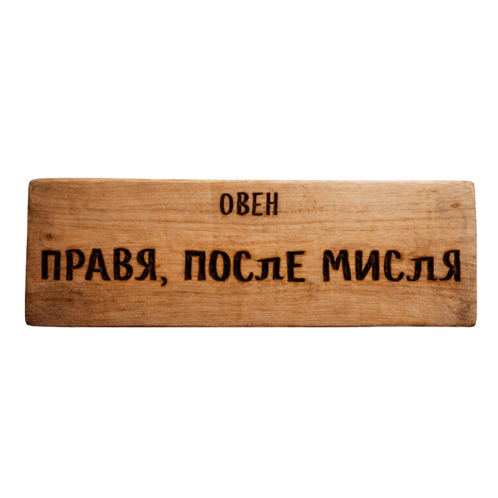 Правя, после мисля